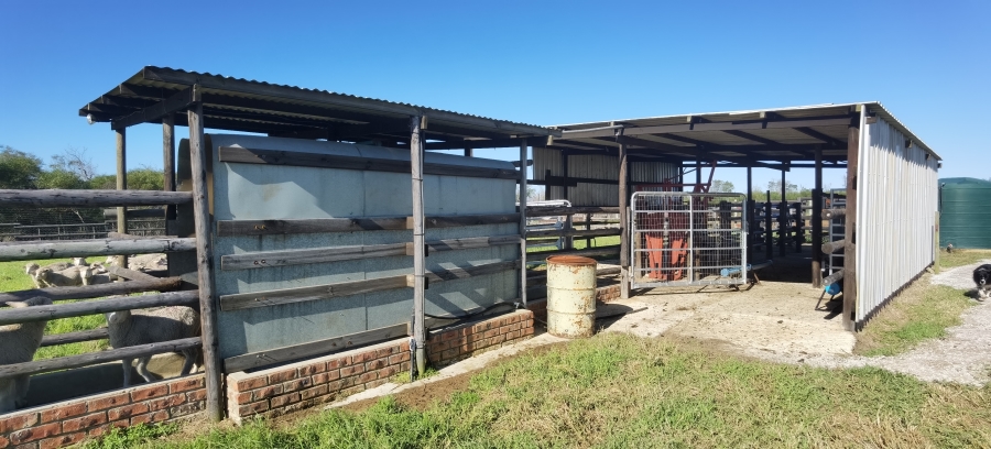 0 Bedroom Property for Sale in St Francis Bay Eastern Cape